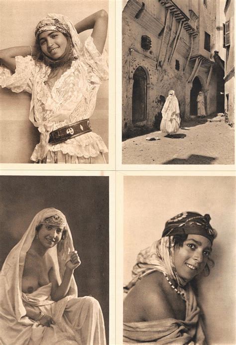 la prostitution coloniale algérie， tunisie， maroc 1830 1962 9782228897051