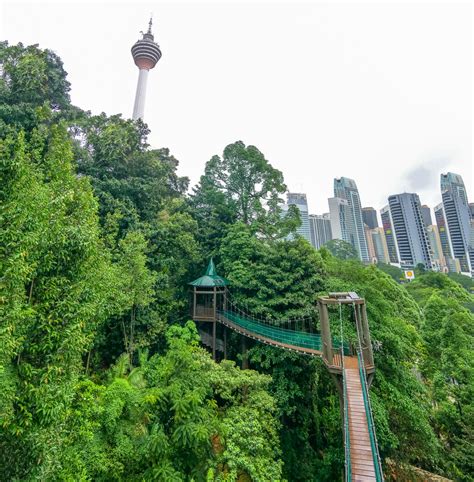 Kl forest eco park is one of the oldest permanent forest reserve in the country. 4 fun FREE things to do in Kuala Lumpur, Malaysia (With ...