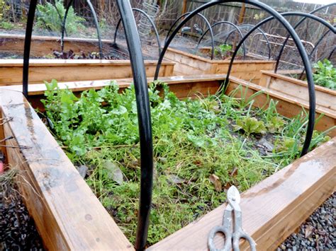 They drain well and are excellent for otherwise they can even be used on hard surfaces. Protected Raised Beds | Hip Chick Digs