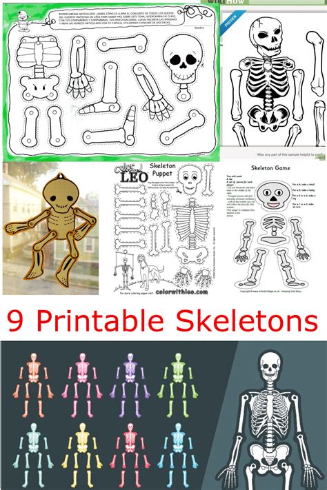 9 Printable Skeleton Crafts Printables 4 Mom Skeleton For Kids