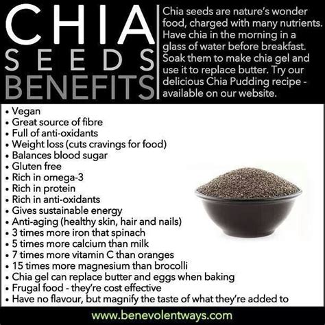 11 Proven Health Benefits Of Chia Seeds A Healthy Body Hot Sex Picture