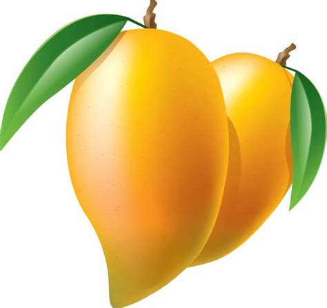 Royalty Free Mango Clip Art Vector Images And Illustrations Istock