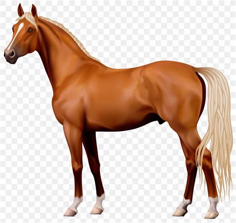 Horse Stallion Clip Art Png 4120x3894px Horse Animal Figure Bit