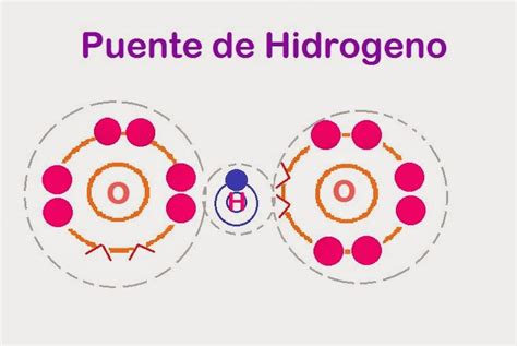 Bioquimica Enlace Polares O Ionico Covalente Puente De Hidrogeno