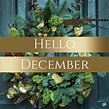 Hello, December! | End the Year and Start Anew