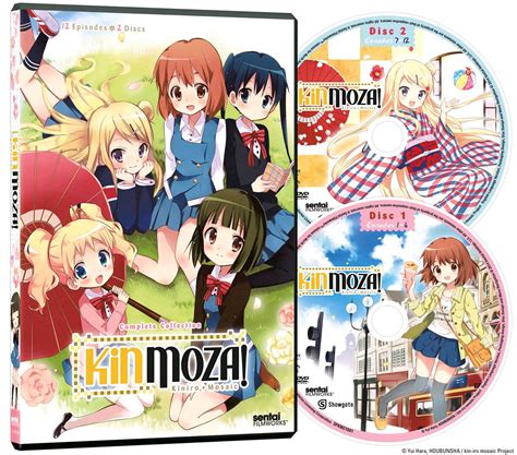 Buy Dvd Kinmoza Complete Collection Dvd Box Set