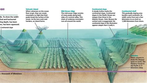 The Ocean Floor Diagram Review Home Decor