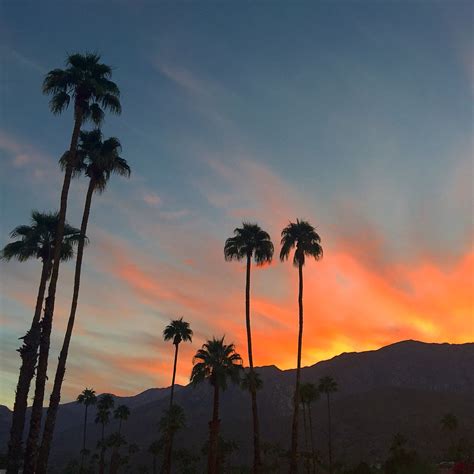 Palm Springs Sunset Desert Sunset Sunset Palm Springs
