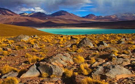 Fondos De Pantalla 1600x1000 Px Desierto De Atacama Chile Lago