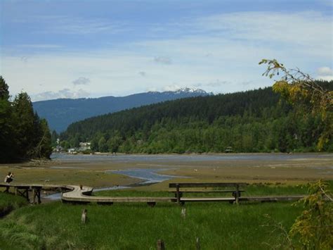 Shoreline Park Port Moody All You Need To Know Before You Go