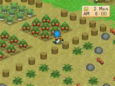 2 Games Like Harvest Moon Back To Nature On Steam Games Like
