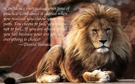 Beautiful Lion Quotes Quotesgram
