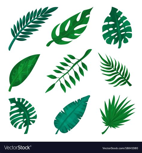 Green Tropical Leaf Set Palm Leaves Royalty Free Vector