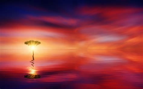 3840x2400 Sunset Ocean Tree Sun Light 4k Hd 4k Wallpapers Images