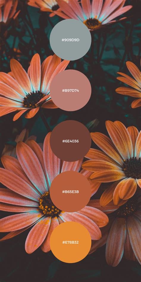 Gorgeous Color Palette Collection Inspiration For Fall All With The Hex Code Included