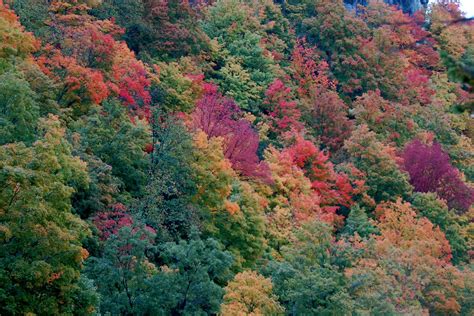 New York Colors Thatcher State Park Devonshiremedia Flickr