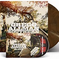Lead Single Off Gregg Allman's Final Studio Album, 'Southern Blood ...