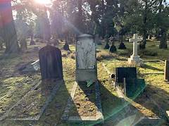 The Heartbreaking Farewell Morgan Nays Final Resting Place