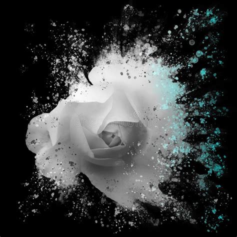 Dramatic Splash Effect Single White Rose Floral Art With Blue