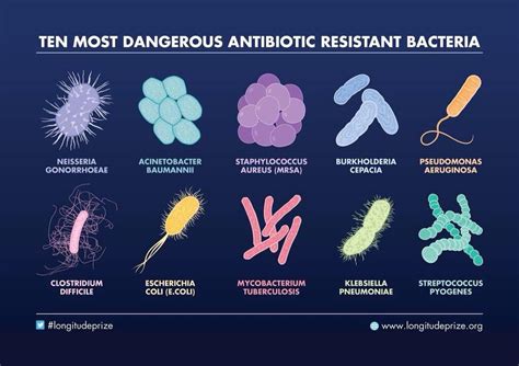 Antibioticos Bacterias