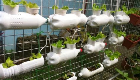 Easy 25 DIY Hydroponic Gardening Ideas That You Could Do Yourself