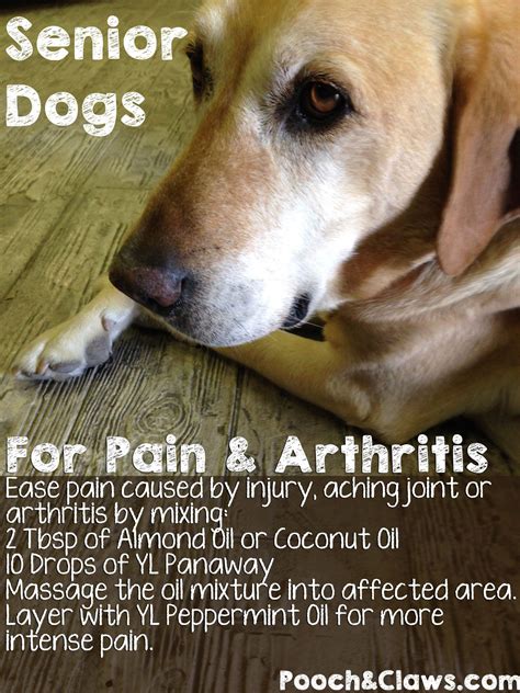 What Natural Remedies For Arthritis In Dogs Martlabpro