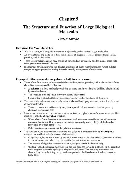 Reece 10e Lecture Ch05 Chapter 5 The Structure And Function Of Large