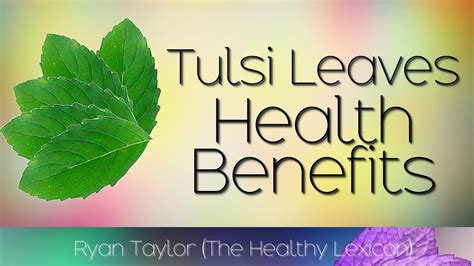 Tulsi Leaves Benefits And Uses Holy Basil Youtube