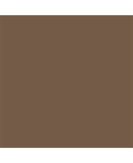 Color Ral Ral 8025
