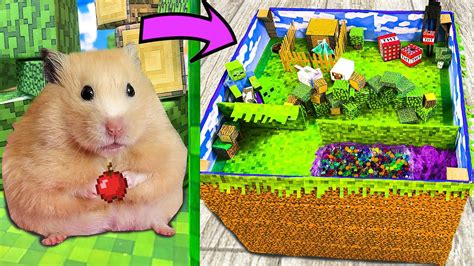 Hamsters In Minecraft Maze Youtube