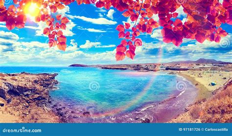 Scenic Landscapecanary Island Seascapetenerife Stock Photo Image
