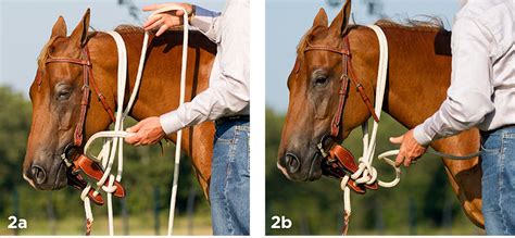 How To Safely Tie Your Horse Using Mecate Reins Downunder