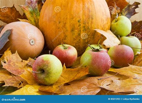 Apples And Pumpkins On Autumn Leaves Stock Photography Image 8501392
