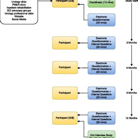 Summary Of Study Procedures Download Scientific Diagram