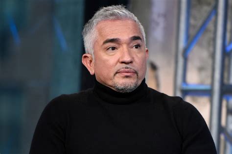 Cesar Millan Crossed Mexico Usa Border With Only 100
