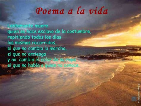 Poema A La Vida