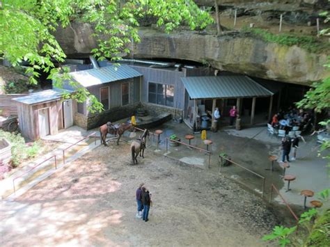 Things to do in tuscumbia al. Rattlesnake Saloon (Tuscumbia) - 2018 All You Need to Know ...