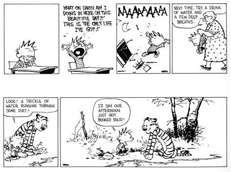 Calvin And Hobbes This Is My Husband And Son In A Nutshell Calvin And
