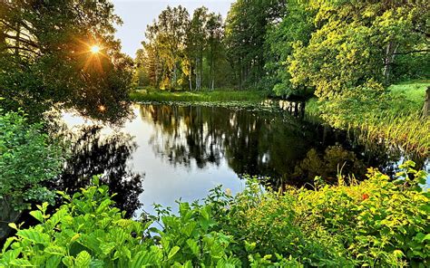 Sweden Summer Summer Nature Splendor Landscape Hd Wallpaper Peakpx