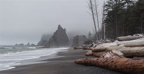 Exploring Olympic National Park Off The Beaten Path