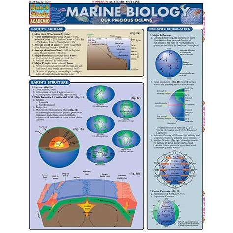 Marine Biology Study Chart 599