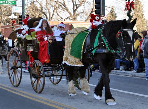 Braymere Custom Saddlery Carriages At The Christmas Carriage Parade