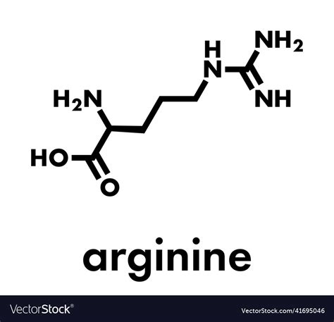 Arginine L Arginine Arg R Amino Acid Molecule Vector Image