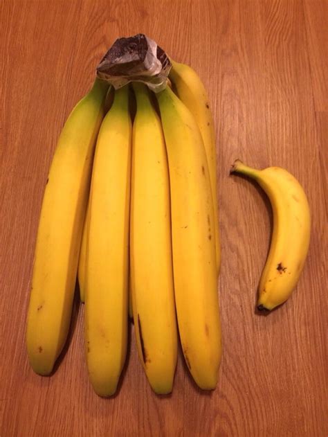 Damn These Bananas Are Huge Banana For Scale Rabsoluteunits