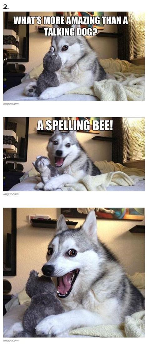 7 Pun Dog Puns That Will Instantly Brighten Your Day Funny Husky