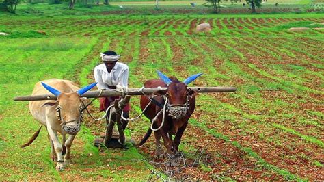 Transforming Agriculture Through Village Level Infrastructure The