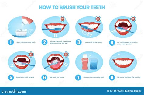 Sequenza Di Disegni Che Illustrano Come Lavare I Denti Illustrazione