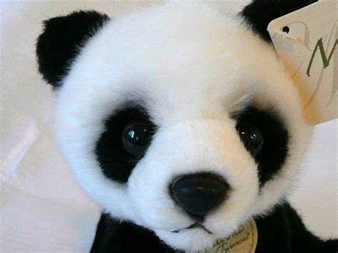 Aurora Miyoni Collection Panda Bear Small New Nwt Plush Toy Aurora