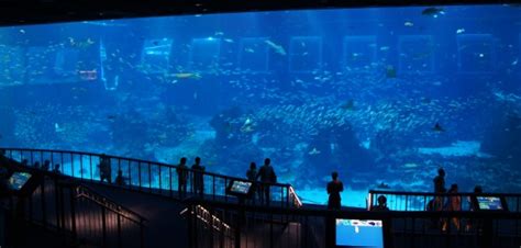 シー・アクアリウム水族館 セントーサ島 シンガポール旅行観光com