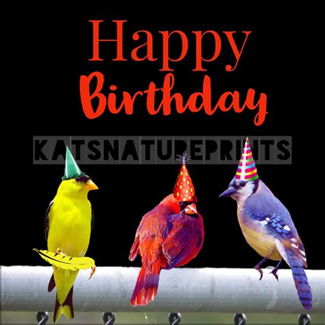 Happy Birthday Instant Digital Download Bird Illustration Etsy